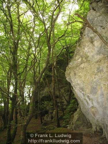 Dooney Rock, Lough Gill, County Sligo